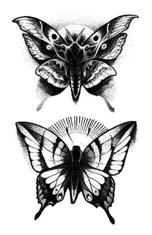 Moth Butterfly - Boston Temporary Tattoos