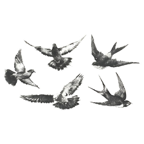 Swallow Bird - Boston Temporary Tattoos