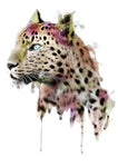 Leopard - Boston Temporary Tattoos