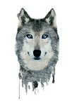 Blue Eyed Wolf - Boston Temporary Tattoos