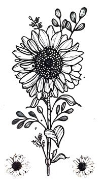 Sunflower - Boston Temporary Tattoos