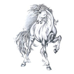 Wild Horse - Boston Temporary Tattoos