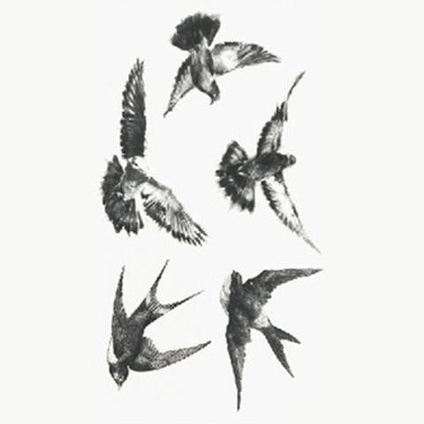 Swallow Bird - Boston Temporary Tattoos