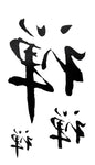 Chinese Writing - Boston Temporary Tattoos