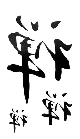 Chinese Writing - Boston Temporary Tattoos